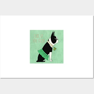 Saint Patrick's Day Dog Design Lick of the Irish Posters and Art